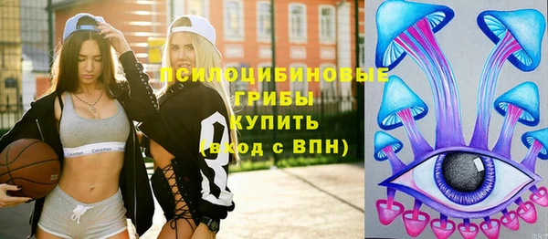 хмурый Вязьма