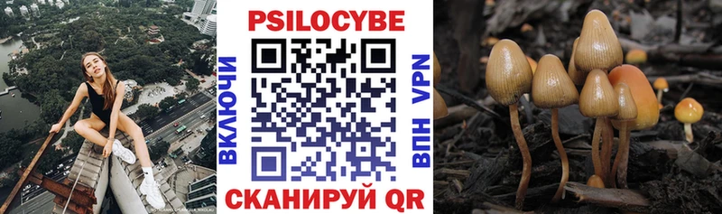 Галлюциногенные грибы мухоморы  Таруса 