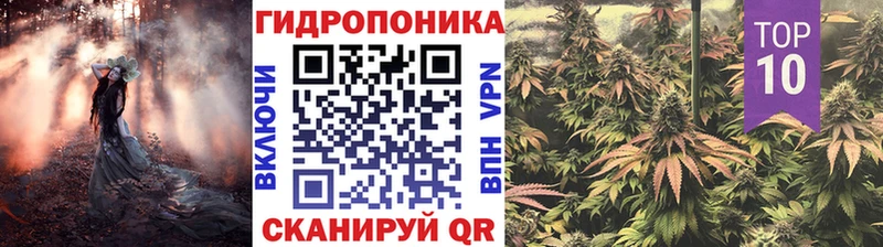 где продают наркотики  Таруса  Шишки марихуана план 
